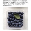 (주)코리아세븐 일산라페스타점 | [블챌]주간일기 챌린지 #11-2