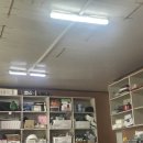 구구반점 이미지