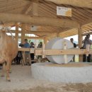 연자방아 이미지