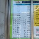 세븐일레븐양양하조대점 이미지