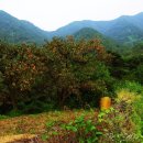 마비정 누리길 이미지