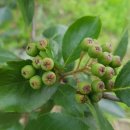 도장골농장2 이미지