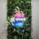 마스터스윔 | 노원수영장 &#39;스윔핏&#39;에서 자유수영하고 온 후기! 가격 정보, 파도풀, 수영강습 가능한 곳