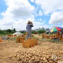 임순석 농장 이미지