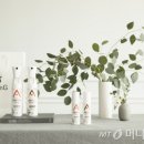 프롬지