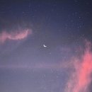 동동쓰 Daum카페