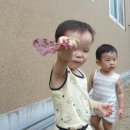 예린농장 이미지