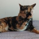 우리그루밍 이미지