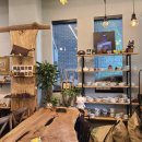 아르볼꼴렉 이미지