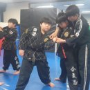 합기도 LG 무림관 이미지