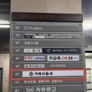 산수숯불갈비 | [군포 산본] 거북이동네 군포산본점, 차돌박이·오겹살·항정살에 갈비까지
