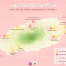 (주)삼보렌트카 | 일년 단한번 갈수있다는 제주로 떠나는 벚꽃여행