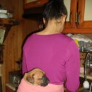 애지중지 이미지