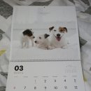 봄내동물병원 이미지