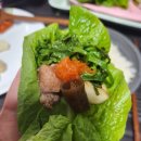 정육단