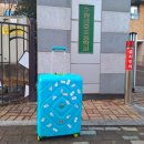 금호초교병설유치원 이미지