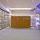트렌드갤러리
