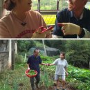 영철농장 이미지