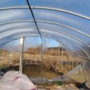 여주목욕탕 이미지