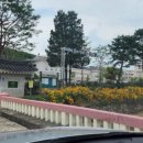 웅부중학교 이미지