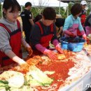 진안 김치보쌈축제 12일 개막 이미지