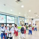 팀 화랑 태권도장 이미지