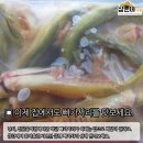 삼촌네고기가게