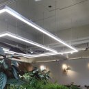 오스테리아 다니 이미지