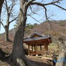 태인사거리 ~ 피향정 앞 이미지