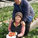 일반농장 이미지