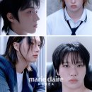 Style D Gym 이미지