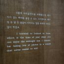 서울 그라운드시소 이스트 | 알렉스키토 사진전 후기 티켓가격 전시일정 프리오프닝 초청