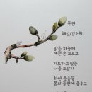 이제;봄 이미지