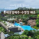 해호텔 | 롯데호텔 제주-야외수영장 해온 (정보 &amp; 이용후기까지)