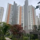 삼성푸른솔치과의원 이미지