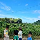 풀잎어린이집 이미지