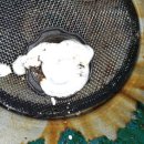 행복한자동차마을 이미지