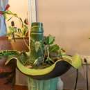 행복플러스안마원 | 하노이 마사지 미도스파 1호점 이용 후기!