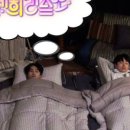 돼지꿈나라 이미지