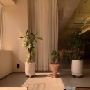 넘버25 울산번영로점 | [울산] 넘버 25호텔 울산번영로점 : 프리미엄 더블 후기.