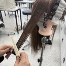 생활미용헤어 이미지