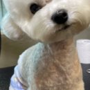 제주멍 이미지