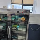 모두케어 이미지