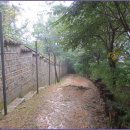 서리풀길 24 이미지