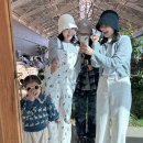 무지개목욕탕 | 아이랑 속초 3박4일 가족여행 | 한화리조트 설악 쏘라노, 워터피아 온천, 무지개숯불생선구이 후기