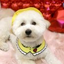 옐레드 부천상동점 이미지