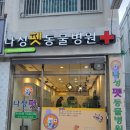 나성펫동물병원 - 세종특별자치시 한누리대로 288 | 나성펫동물병원