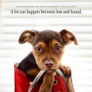 A dog's (어독스) 이미지
