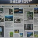 사금주유소 이미지