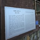 보성황실시장 | 삼척 동해 묵호 여행